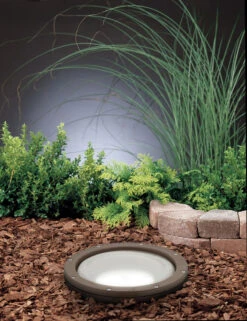 Hid High Intensity Discharge 120 150.00 Watt Architectural Bronze Landscape 120V In-Ground