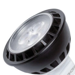 Independence 12 4.00 Watt Landscape 12V Led Lamps