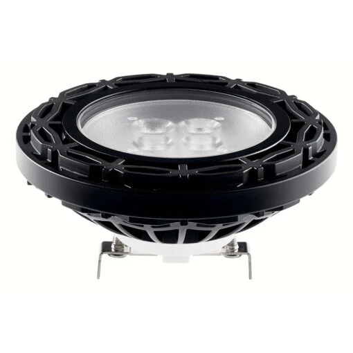 Landscape LED 12 14.00 Watt Black Landscape 12V LED Lamps