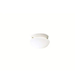 Ceiling Space 1 Light 7.25 Inch Flush Mount