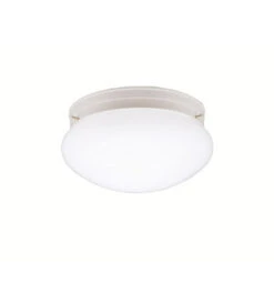 Ceiling Space 1 Light 9 Inch White Flush Mount Light Ceiling Light