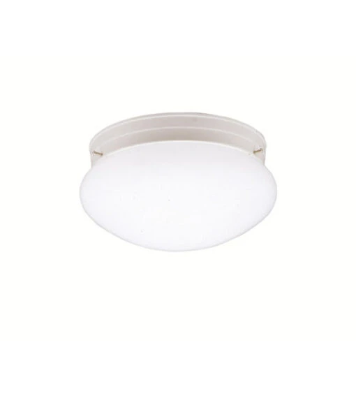 Ceiling Space 1 Light 9 Inch White Flush Mount Light Ceiling Light