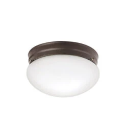 Ceiling Space 2 Light 8.75 Inch Flush Mount