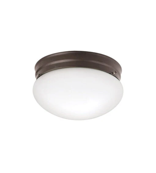 Ceiling Space 2 Light 8.75 Inch Flush Mount