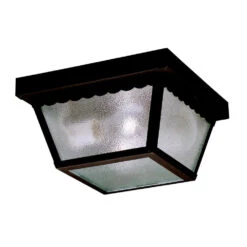 Outdoor Miscellaneous 2 Light 9.50 Inch Outdoor Ceiling Light