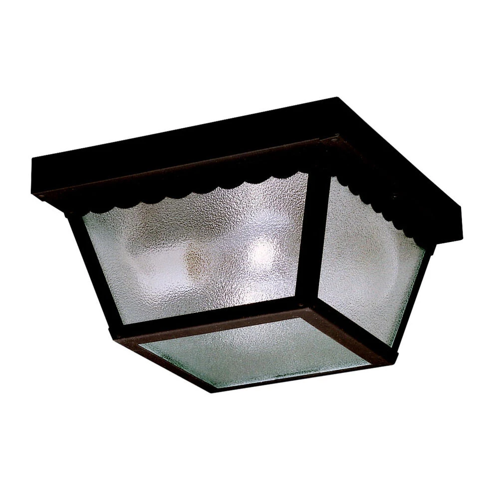 Outdoor Miscellaneous 2 Light 9.50 Inch Outdoor Ceiling Light 1 Outdoor Miscellaneous 2 Light 9.50 Inch Outdoor Ceiling Light