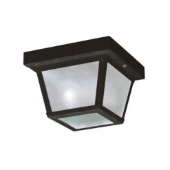 Outdoor Miscellaneous 1 Light 8 Inch Black Outdoor Flush & Semi Flush Mt