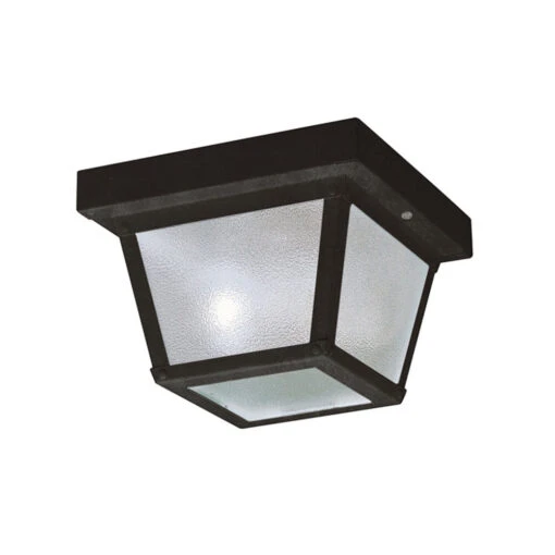 Outdoor Miscellaneous 1 Light 8 Inch Black Outdoor Flush & Semi Flush Mt