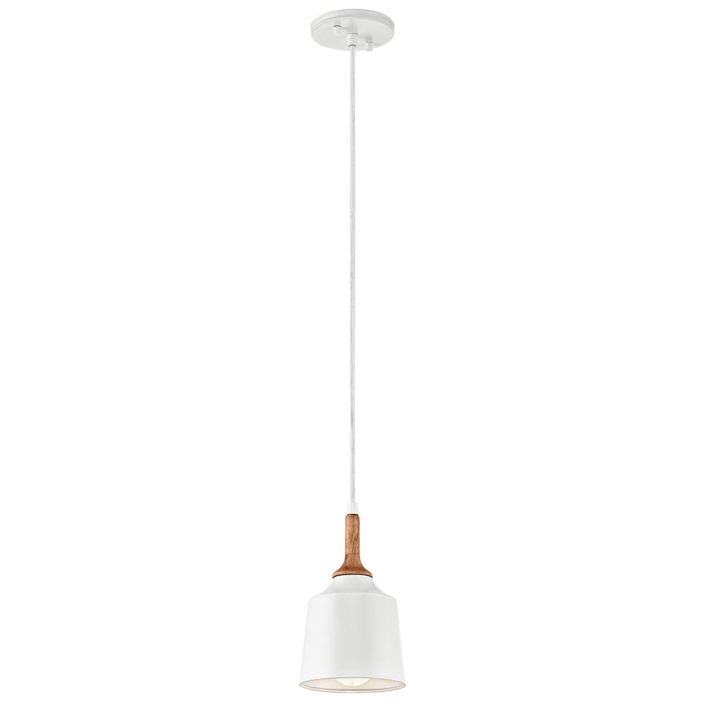 Danika 1 Light 5.25 Inch Mini Pendant 1 Danika 1 Light 5.25 Inch Mini Pendant