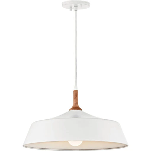 Danika 1 Light 16.25 Inch Pendant