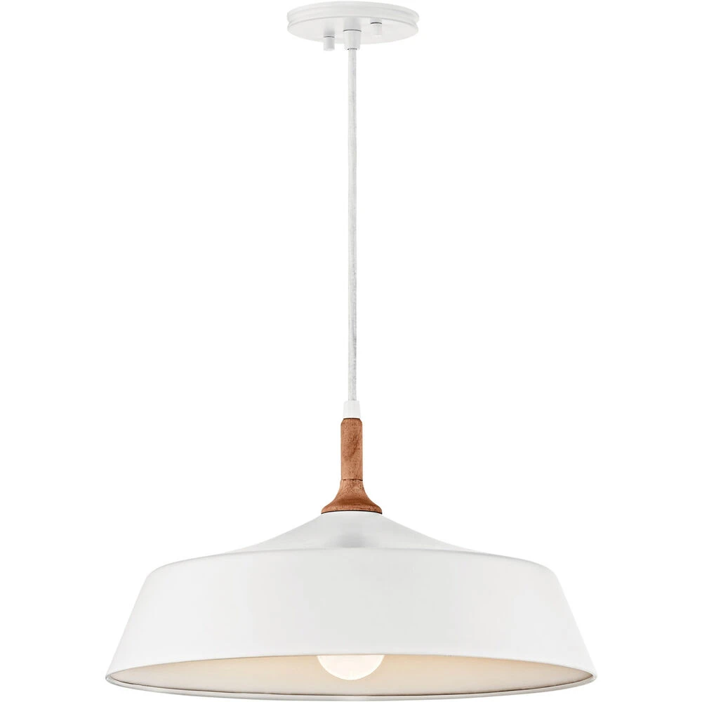 Danika 1 Light 16.25 Inch Pendant 1 Danika 1 Light 16.25 Inch Pendant