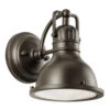 Hatteras Bay 1 Light 8 Inch Olde Bronze Outdoor Wall, Small