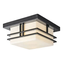 Tremillo 2 Light 12 Inch Black Outdoor Flush & Semi Flush Mt