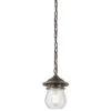 Bradford 1 Light 6 Inch Olde Bronze Outdoor Hanging Pendant