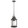 Ashland Bay 1 Light 9 Inch Weathered Zinc Outdoor Hanging Pendant
