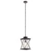Argyle 1 Light 9.50 Inch Outdoor Pendant/Chandelier