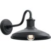 Allenbury 1 Light 12.00 Inch Outdoor Wall Light