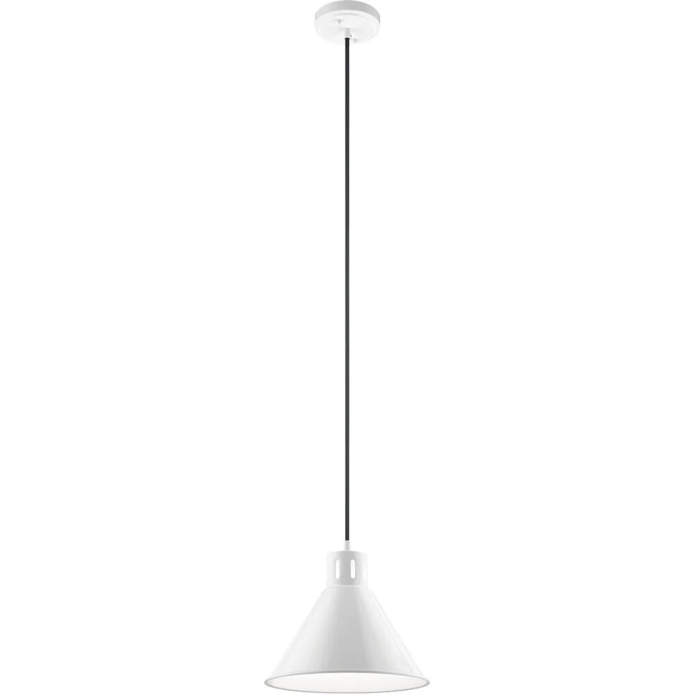 Zailey 1 Light 10.75 Inch Pendant 1 Zailey 1 Light 10.75 Inch Pendant
