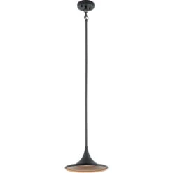 Elias LED 11 Inch Textured Black Outdoor Hanging Pendant