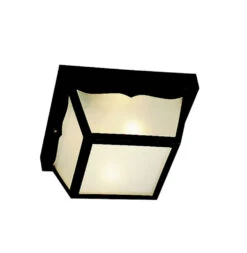 Outdoor Plastic Fixtures 2 Light 11 Inch Black Outdoor Flush & Semi Flush Mt