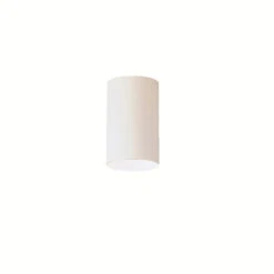 Independence 1 Light 5 Inch White Outdoor Flush & Semi Flush Mt