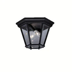 Madison 2 Light 10.75 Inch Outdoor Ceiling Light
