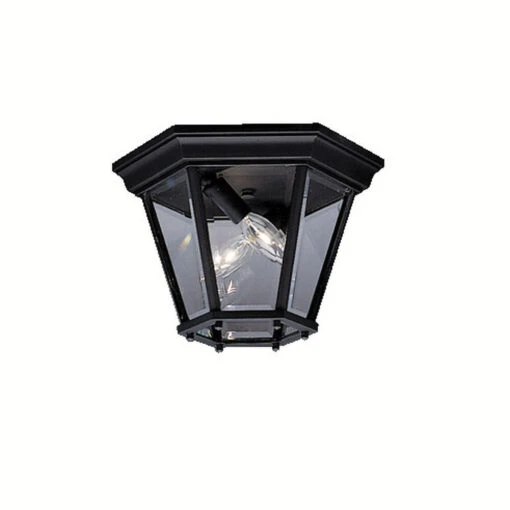 Madison 2 Light 10.75 Inch Outdoor Ceiling Light