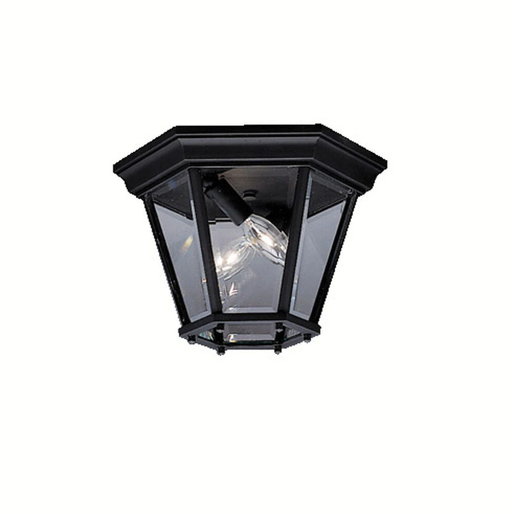 Madison 2 Light 10.75 Inch Outdoor Ceiling Light 1 Madison 2 Light 10.75 Inch Outdoor Ceiling Light