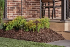 Independence 12 16.00 Watt Textured Architectural Bronze Landscape 12V Path & Spread 12 Independence 12 16.00 Watt Textured Architectural Bronze Landscape 12V Path & Spread -Lighting Promotional Store exterior landscape 15410azt mid day 1a