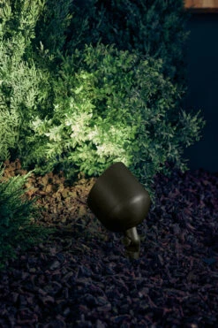 Independence 12 14.00 Watt Centennial Brass Landscape 12V Accent 18 Independence 12 14.00 Watt Centennial Brass Landscape 12V Accent -Lighting Promotional Store exterior landscape accent1lt 15487cbr night 1a