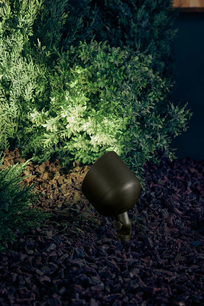 Independence 12 14.00 Watt Centennial Brass Landscape 12V Accent 9 Independence 12 14.00 Watt Centennial Brass Landscape 12V Accent - Image 9
